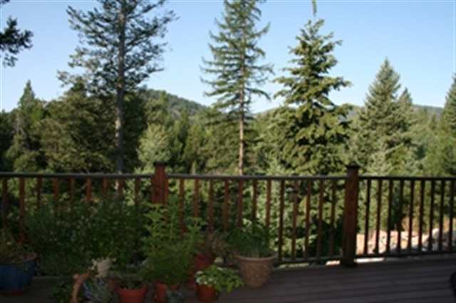 4737 B Price Road Clayton, WA 99110 - Photo 7 of 9