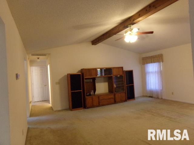 1409 Dorris Heights Road Harrisburg, IL 62946 - Photo 18 of 19 Gallery Image 18