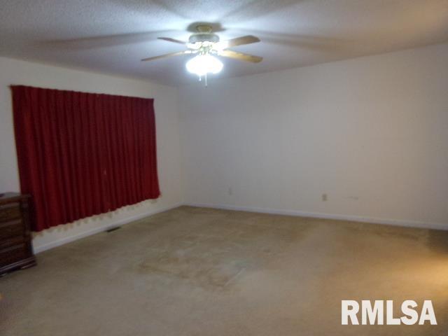 1409 Dorris Heights Road Harrisburg, IL 62946 - Photo 8 of 19 Gallery Image 8