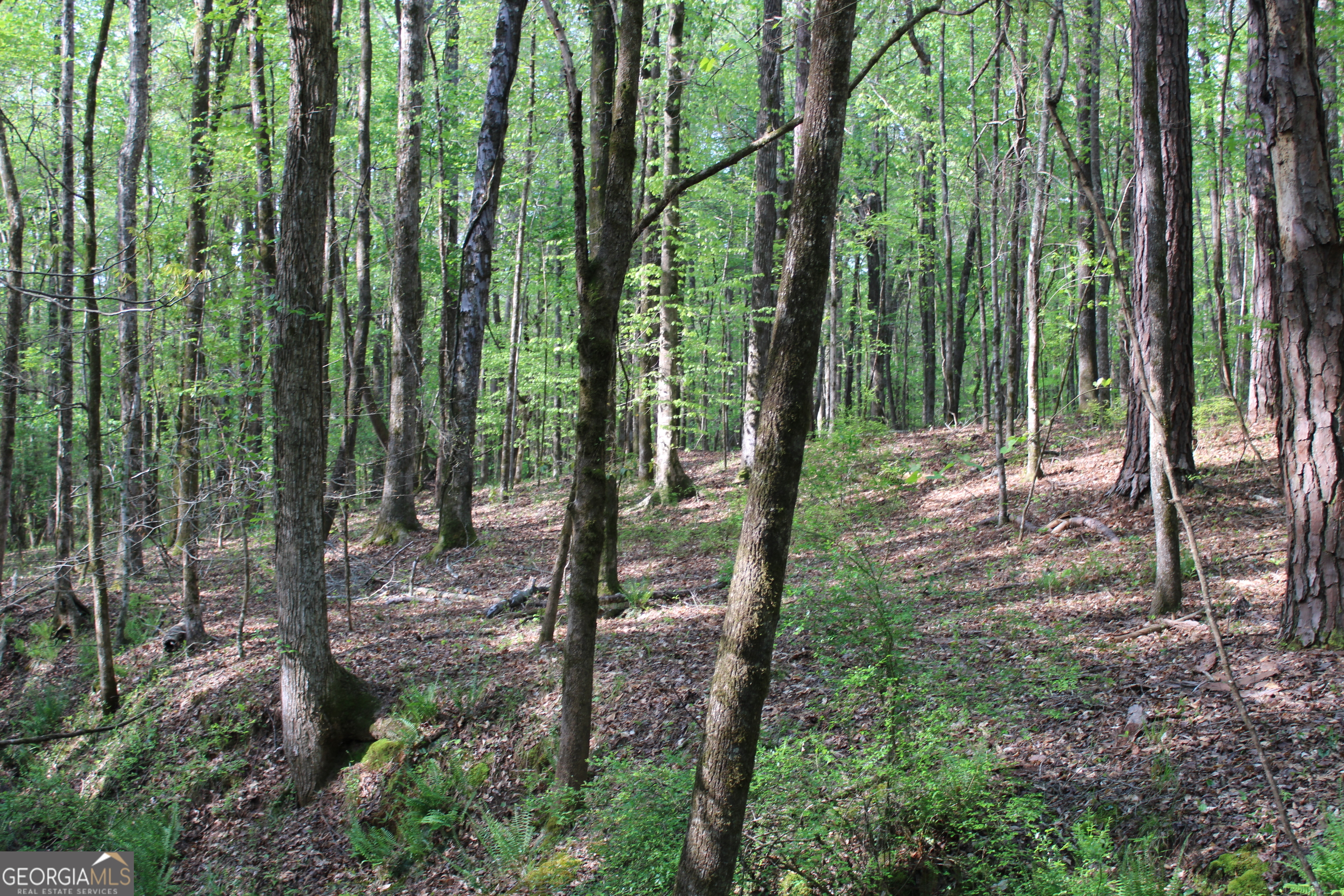 0 Ruffner Road The Rock, GA 30285 - Photo 11 of 51 a view of outdoor space and trees
