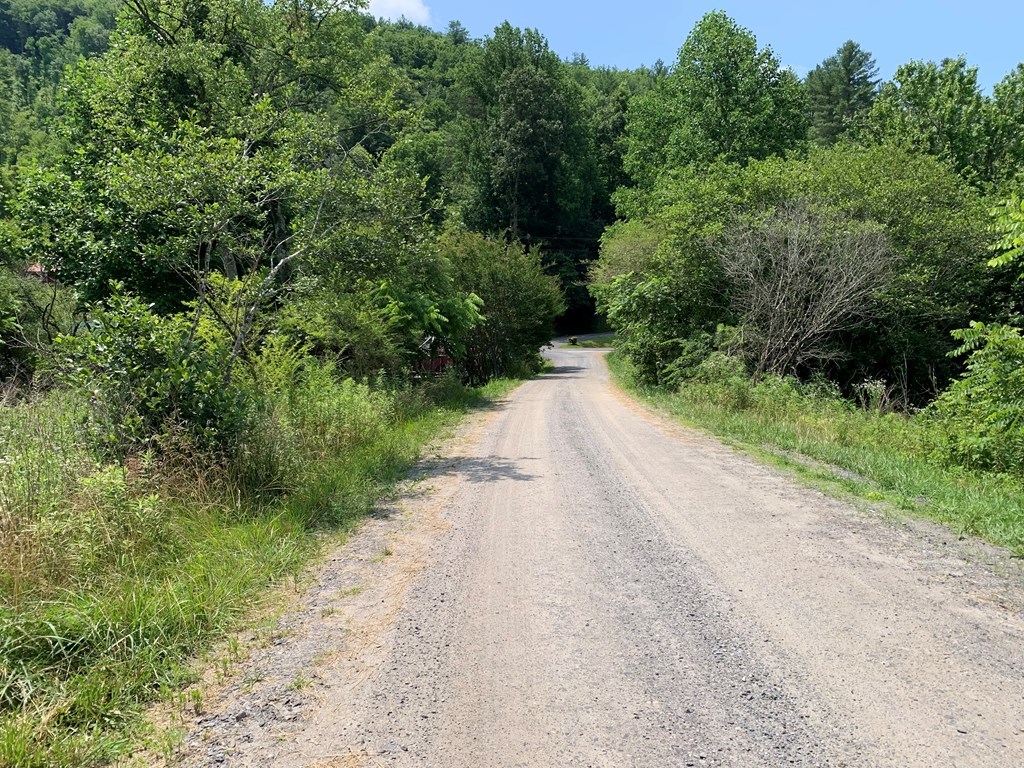 Tbd Greasy Creek Road Murphy, NC 28906 - Photo 3 of 4