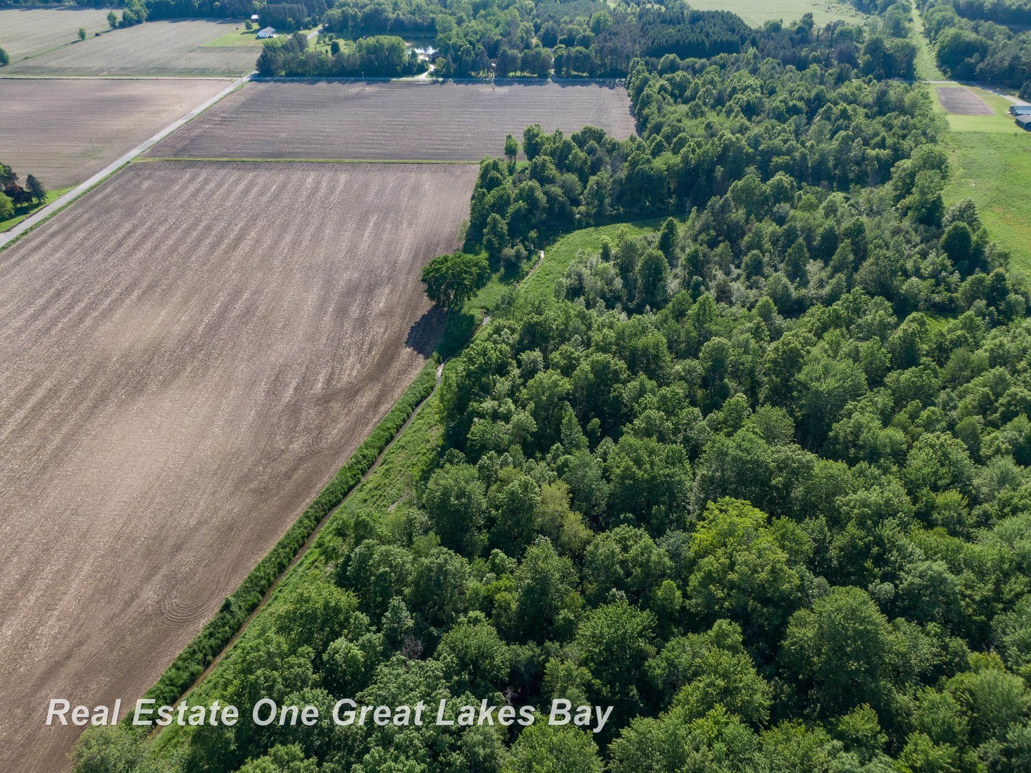 Roosevelt Road Hemlock, MI 48626 - Photo 22 of 28