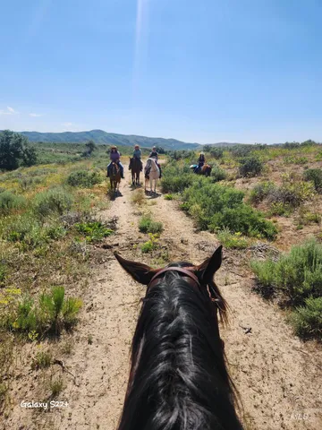 $4,500,000 | Ray Hunt Ranch Mountain, Mountain Home, ID 83647