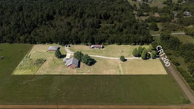 a view of a big yard with a large trees
