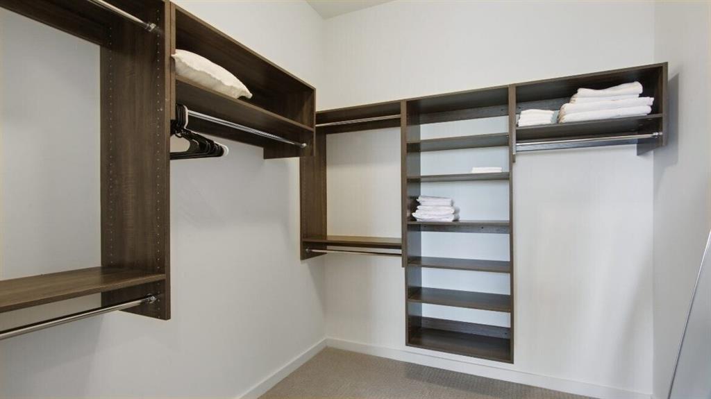 205 12th Street Northeast, Unit 2005 Atlanta, GA 30309 - Photo 17 of 25 a view of walk in closet with empty racks
