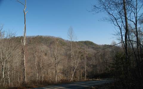 19 Cohutta Ranch Road Blue Ridge, GA 30513 - Photo 1 of 1 Main View