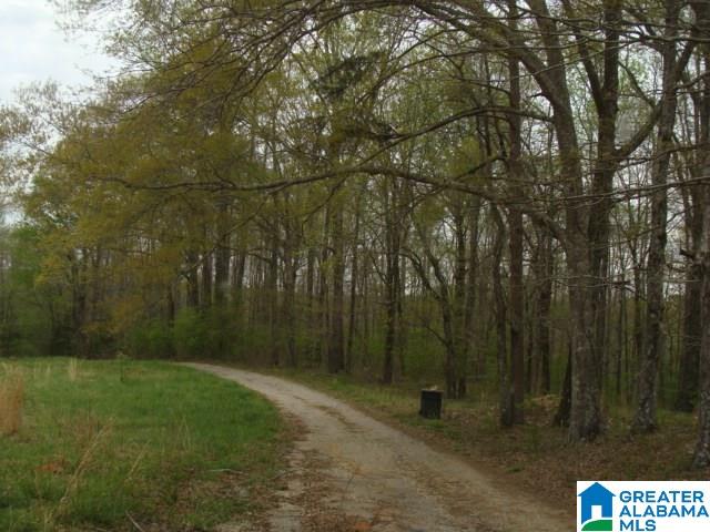 406 Caffe Ridge, Unit PARCEL Woodstock, AL 35188 - Photo 9 of 30
