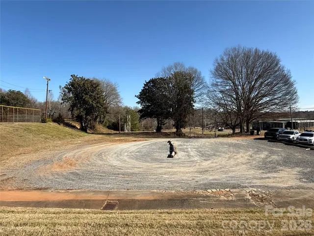 a view of a yard with a tree