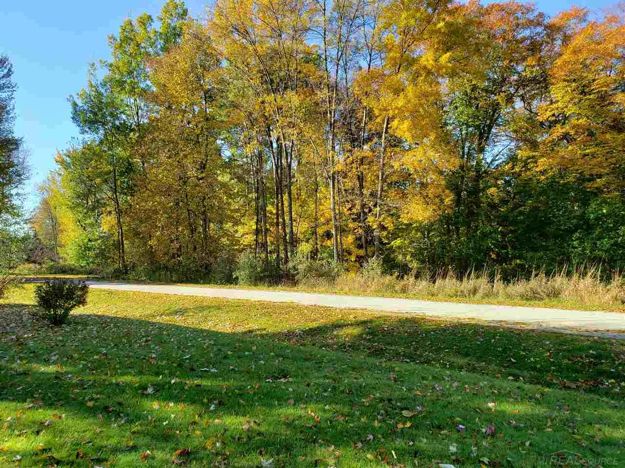 211 South Church Road Carsonville, MI 48419 - Photo 37 of 44 50002909-36.JPG