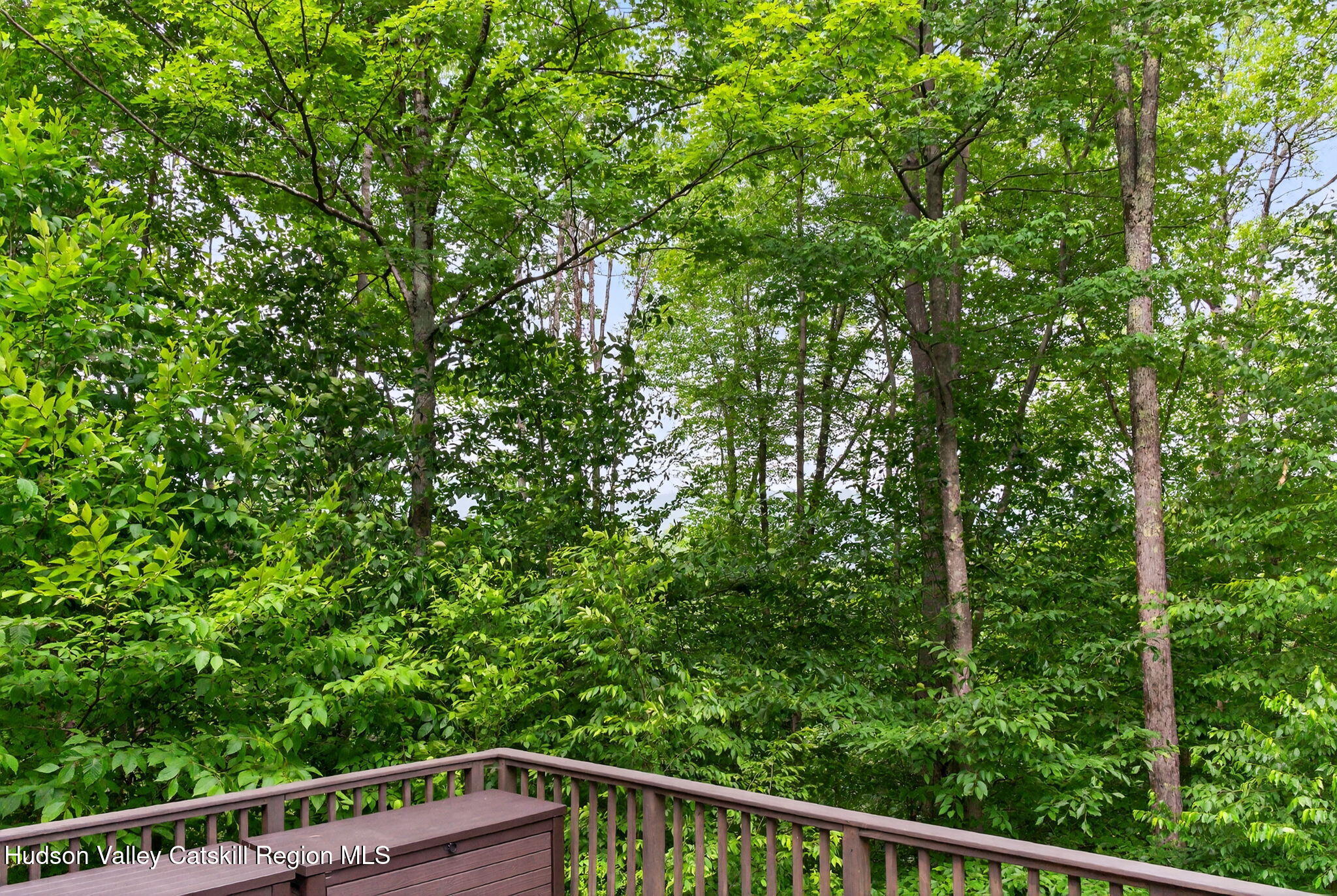 69 Irondale Road Phoenicia, NY 12464 - Photo 27 of 30