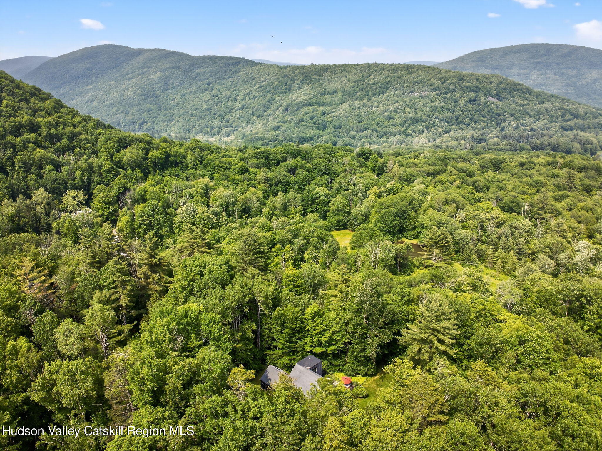 69 Irondale Road Phoenicia, NY 12464 - Photo 29 of 30 a view of a green field with lots of bushes