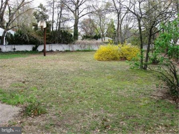 502 Greenwood Avenue Riverside, NJ 08075 - Photo 16 of 18 View in Back
