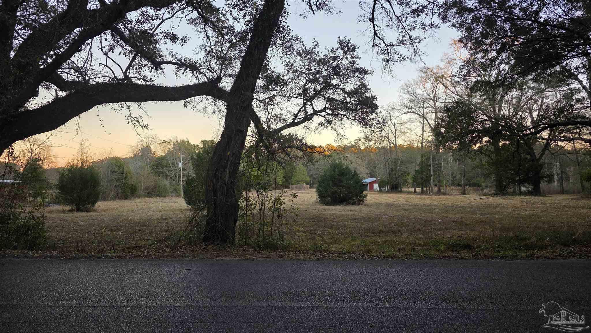Lot 3 Tidwell Road Pace, FL 32571 - Photo 6 of 8