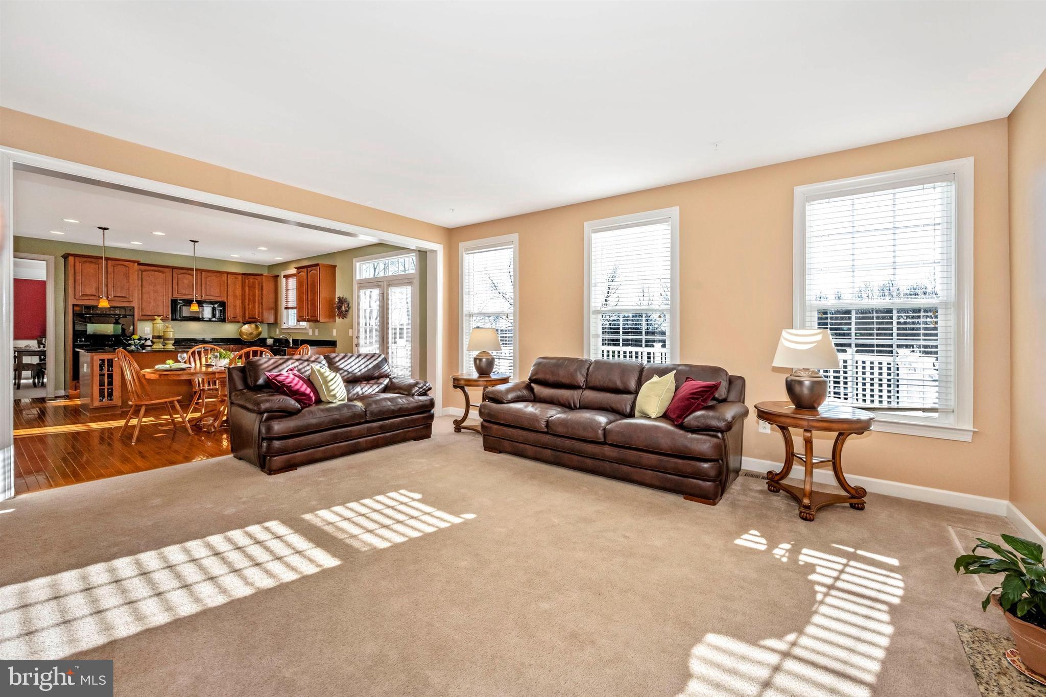 23410 Kimblehunt Place Gaithersburg, MD 20882 - Photo 25 of 72 Alternate view.