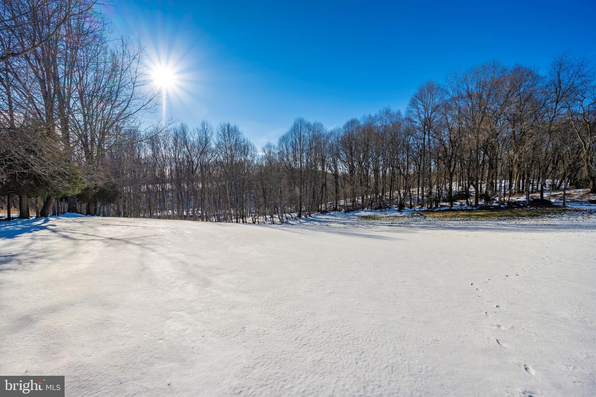 23410 Kimblehunt Place Gaithersburg, MD 20882 - Photo 72 of 72 Nature lovers dream, you couldn't ask for more!