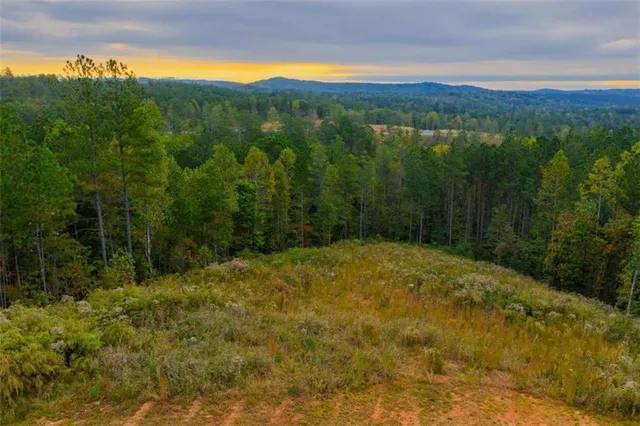 a view of a big yard with lots of green space and mountain view