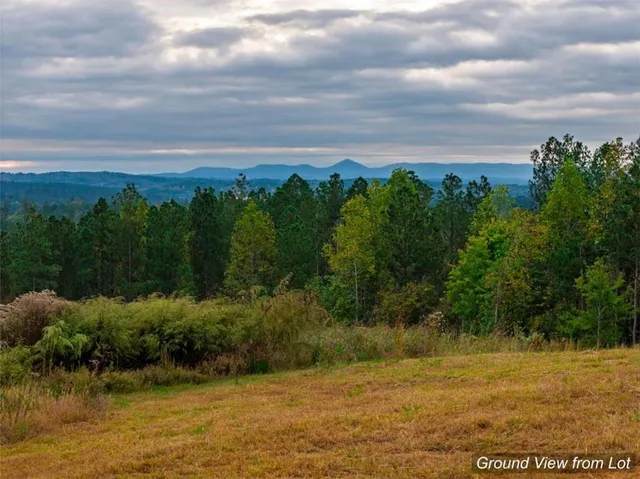 a view of a lake with a yard