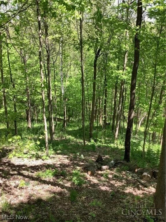 0 Boone Road Kimbolton, OH 43749 - Photo 20 of 24 Gallery Image 20