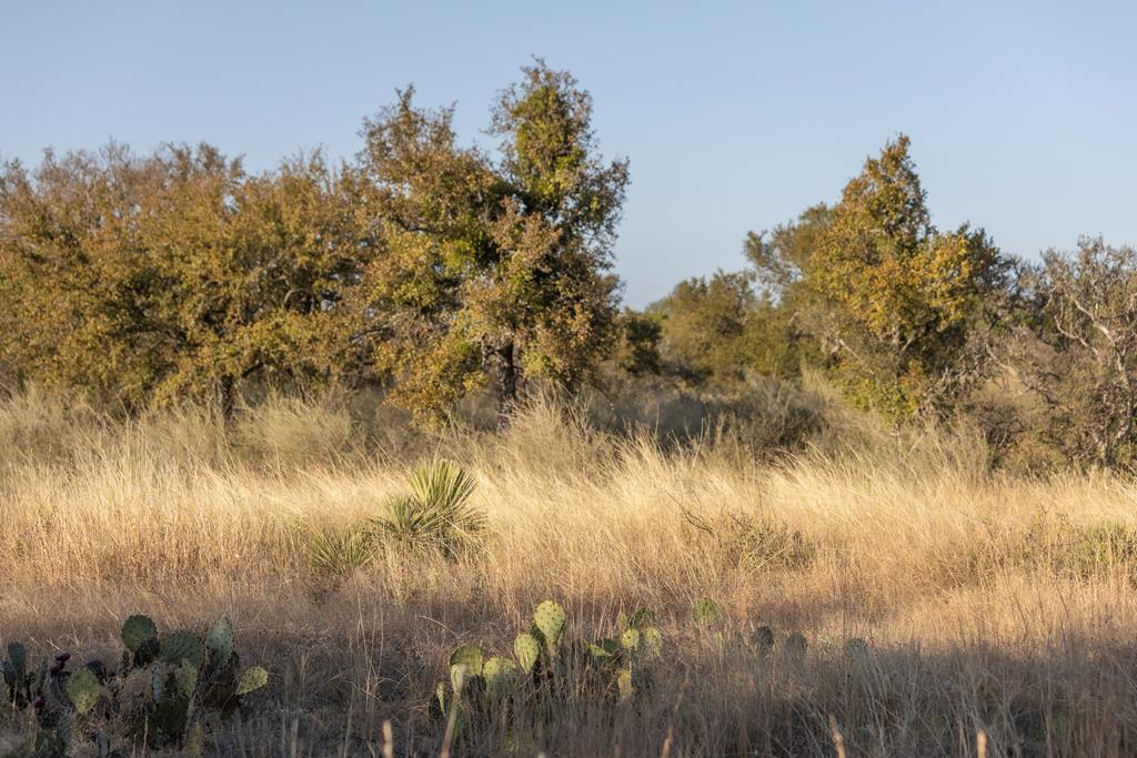 Lot 40 West Ranch Road, Unit 40 Round Mountain, TX 78663 - Photo 7 of 28 Gallery Image 7