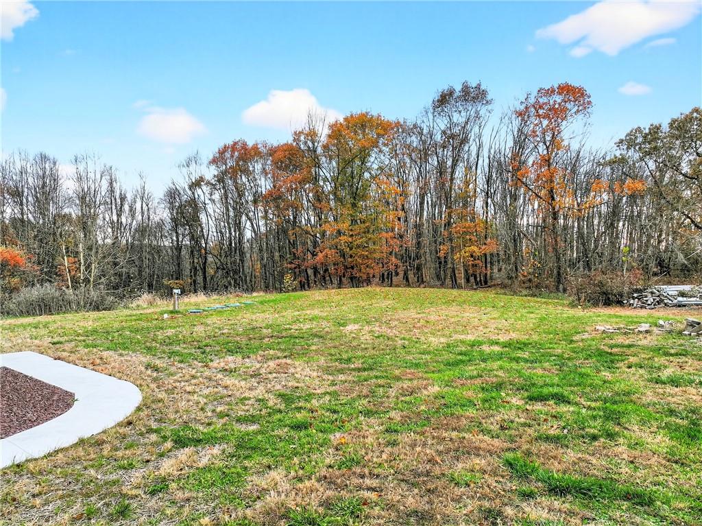 524 Sawmill Road Dawson, PA 15428 - Photo 46 of 50 a view of a yard