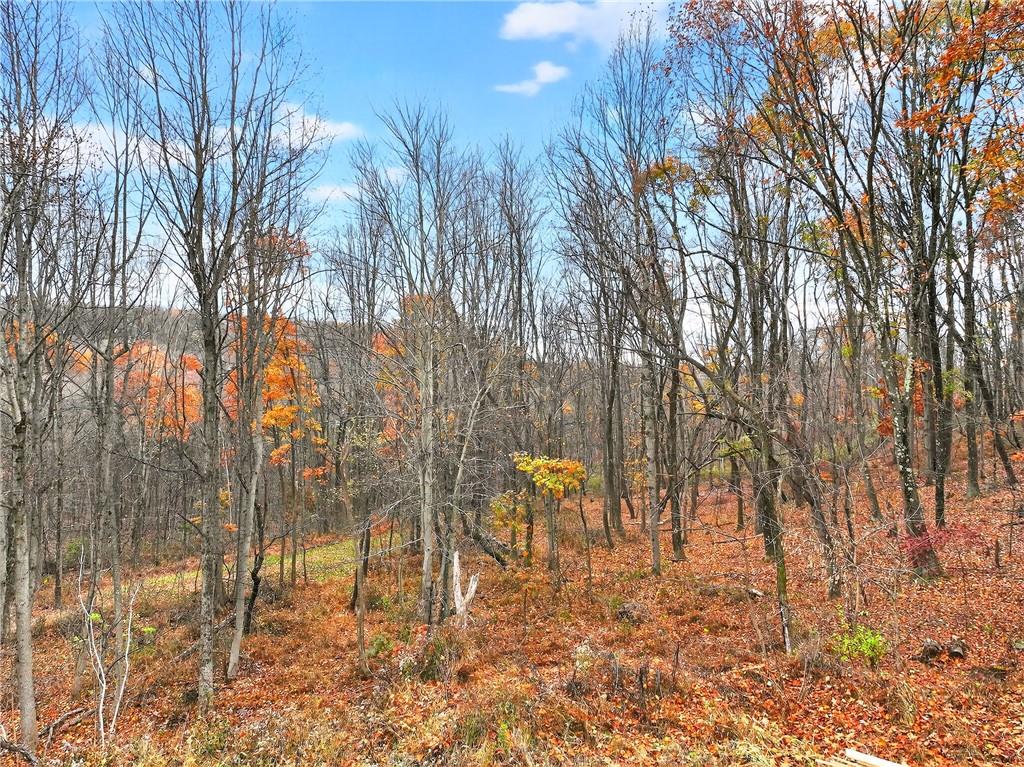 524 Sawmill Road Dawson, PA 15428 - Photo 47 of 50 a view of yard