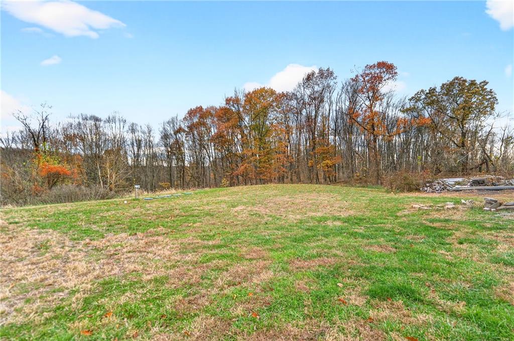524 Sawmill Road Dawson, PA 15428 - Photo 9 of 50 a view of yard with trees