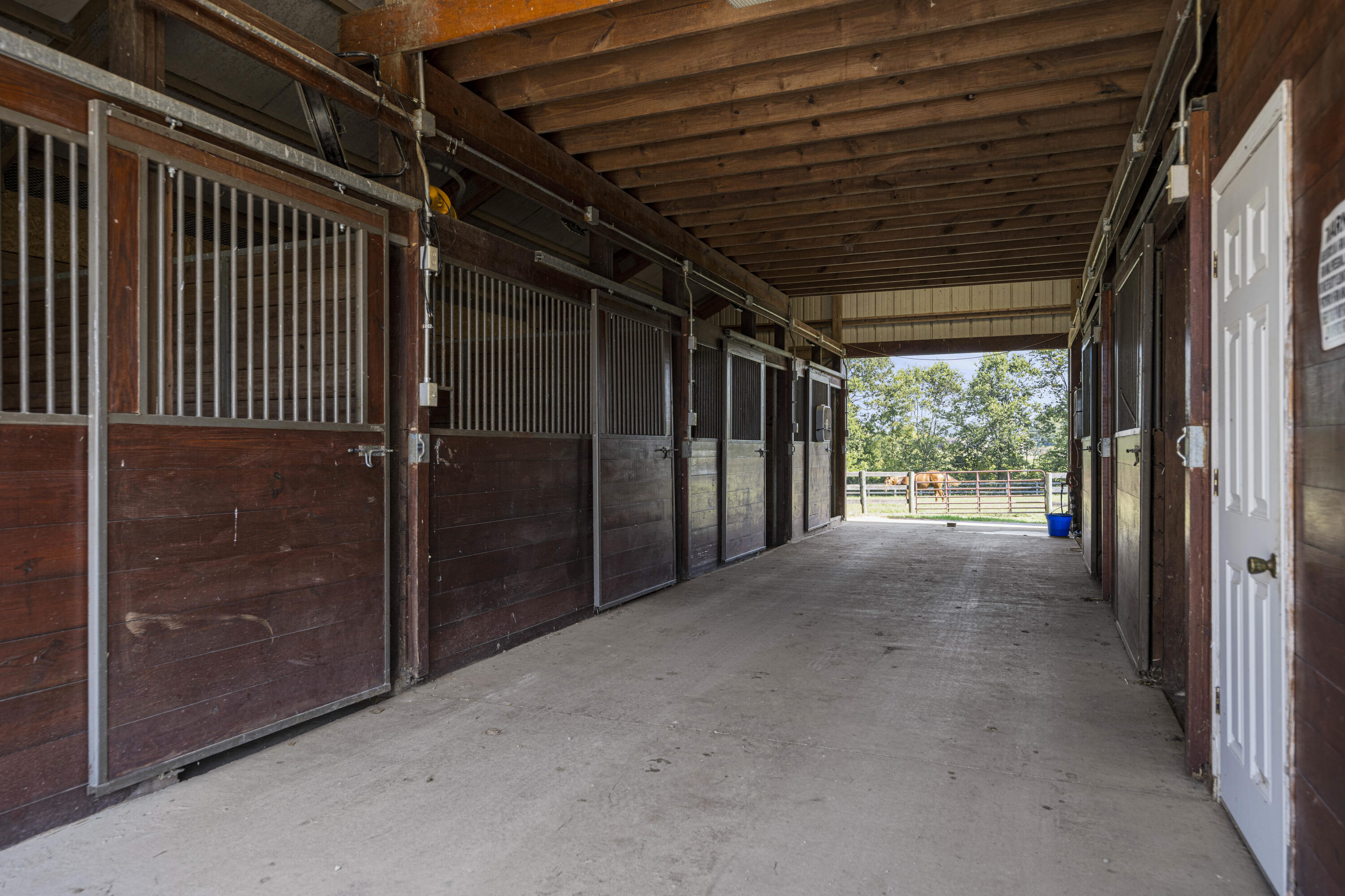 307 Stone Road Georgetown, KY 40324 - Photo 46 of 115 20240827-307-Stone-Rd-tem-022