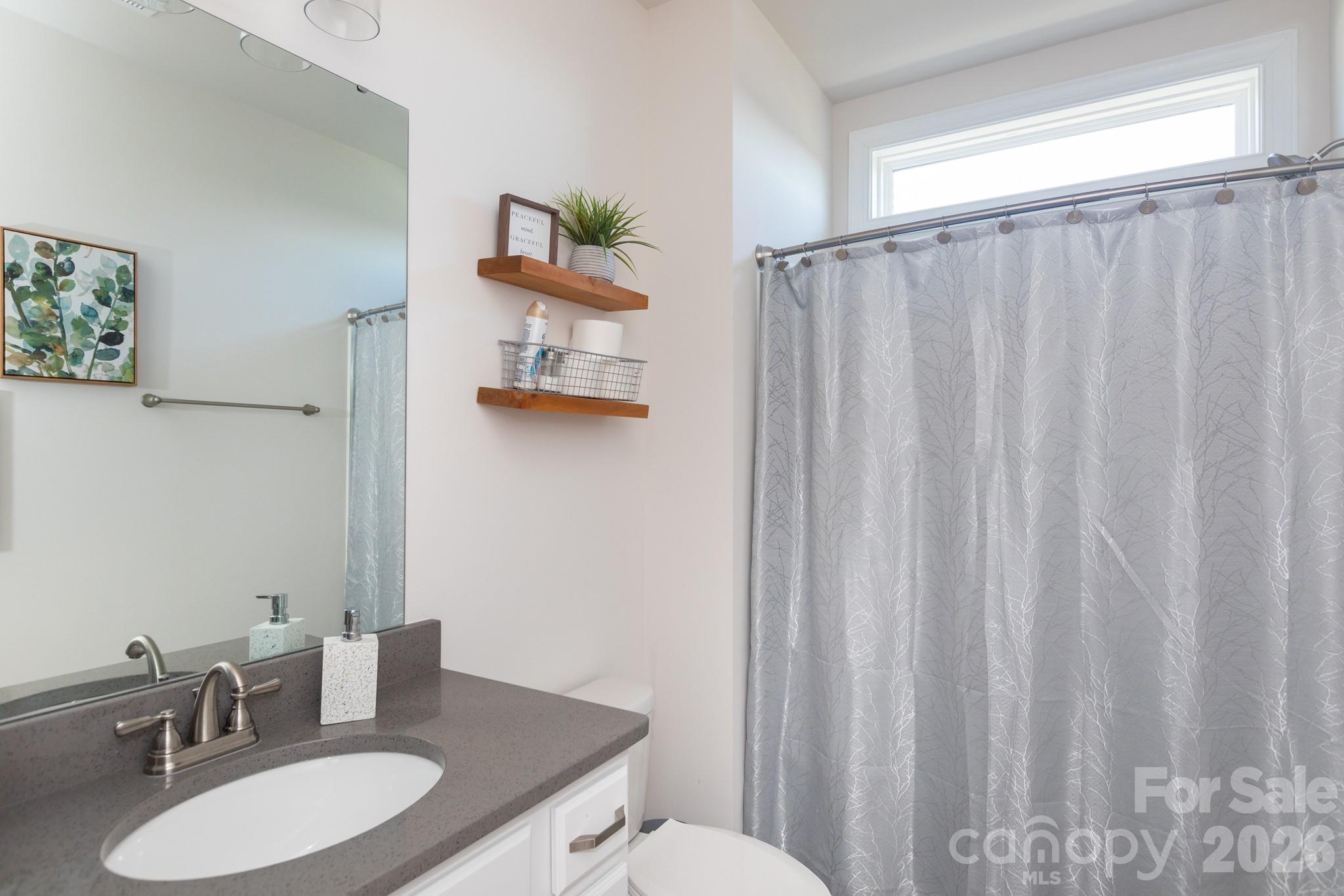 5415 Haystack Avenue Indian Land, SC 29707 - Photo 33 of 44 a bathroom with a sink vanity mirror and toilet