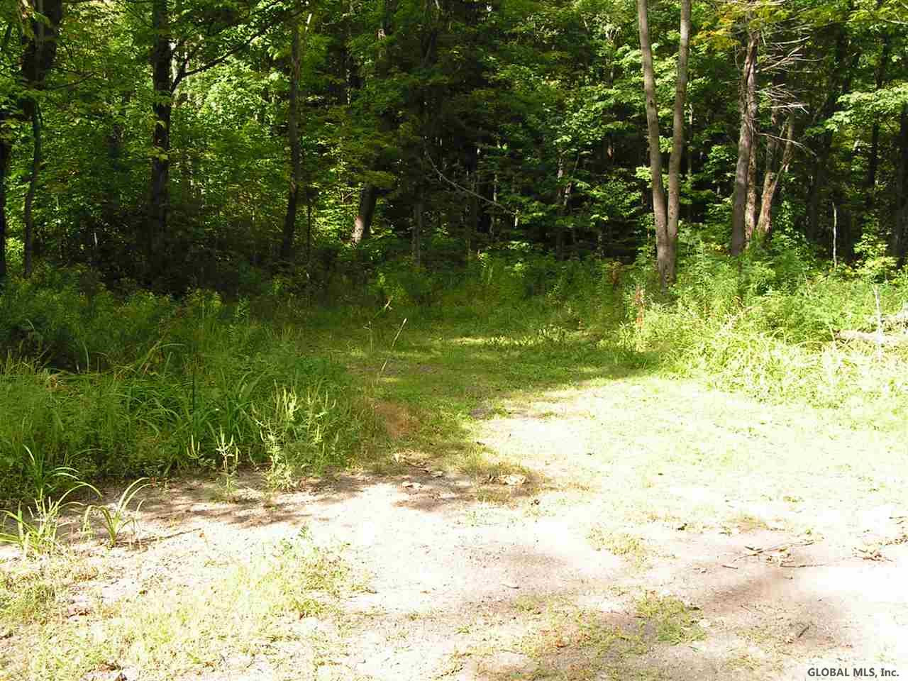 Edwards Road Cherry Valley, NY 13320 - Photo 3 of 8 Photo 3