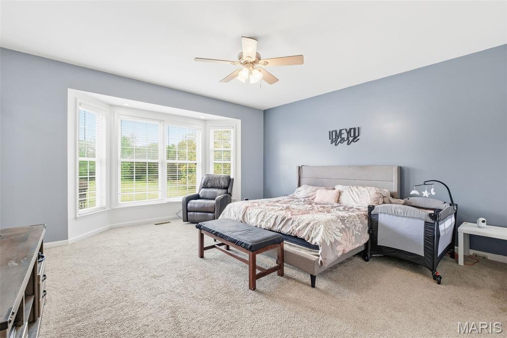 5 Hannah Ridge Trail Elsberry, MO 63343 - Photo 27 of 68