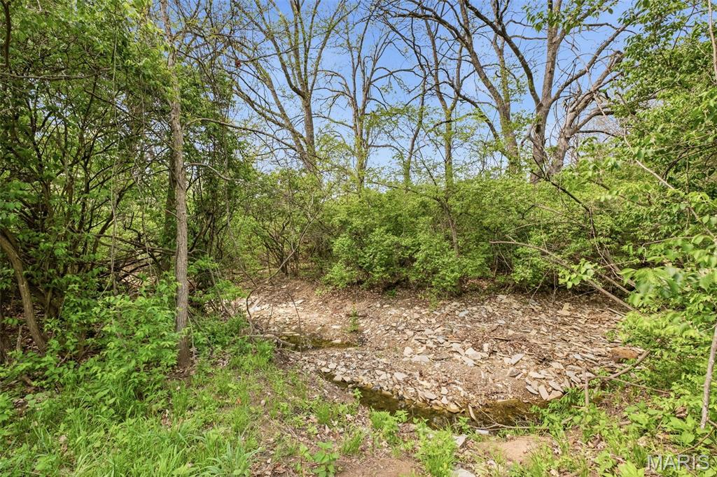 5 Hannah Ridge Trail Elsberry, MO 63343 - Photo 49 of 68