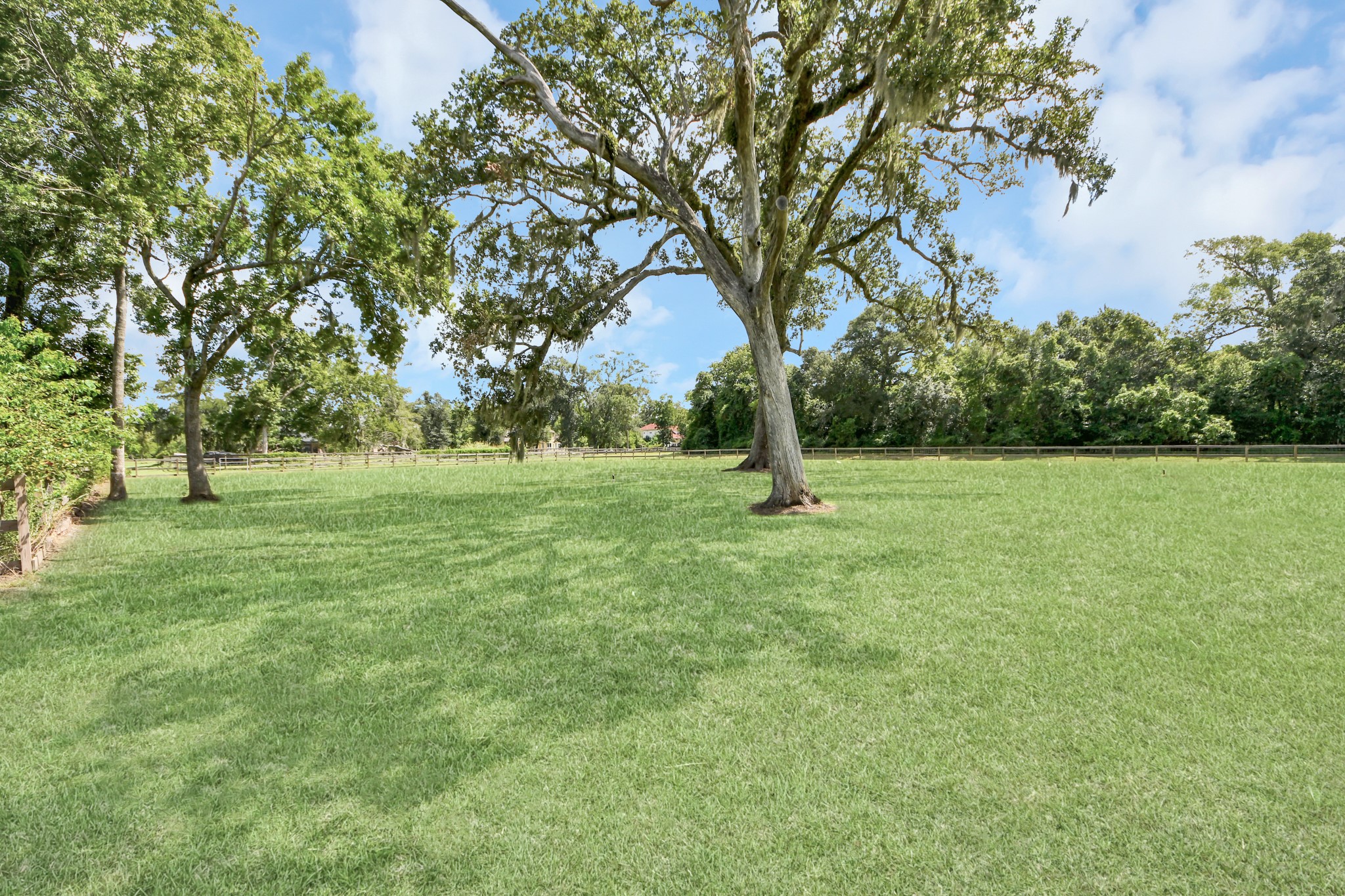 1102 West Point Drive Rosharon, TX 77583 - Photo 30 of 39 Land behind the home