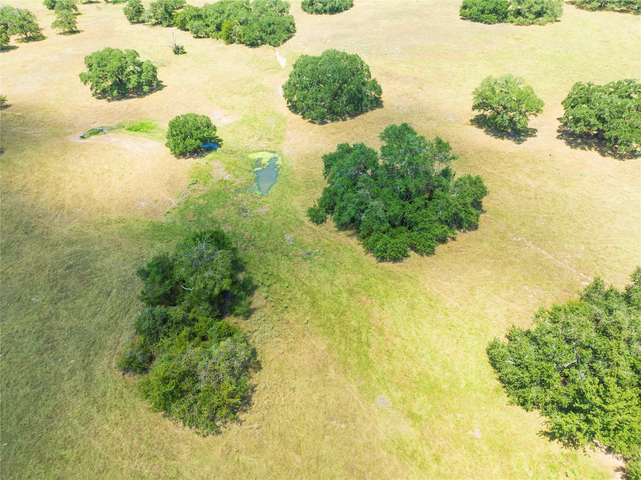265 Boulton Creek Road Muldoon, TX 78949 - Photo 13 of 18 Gallery Image 13