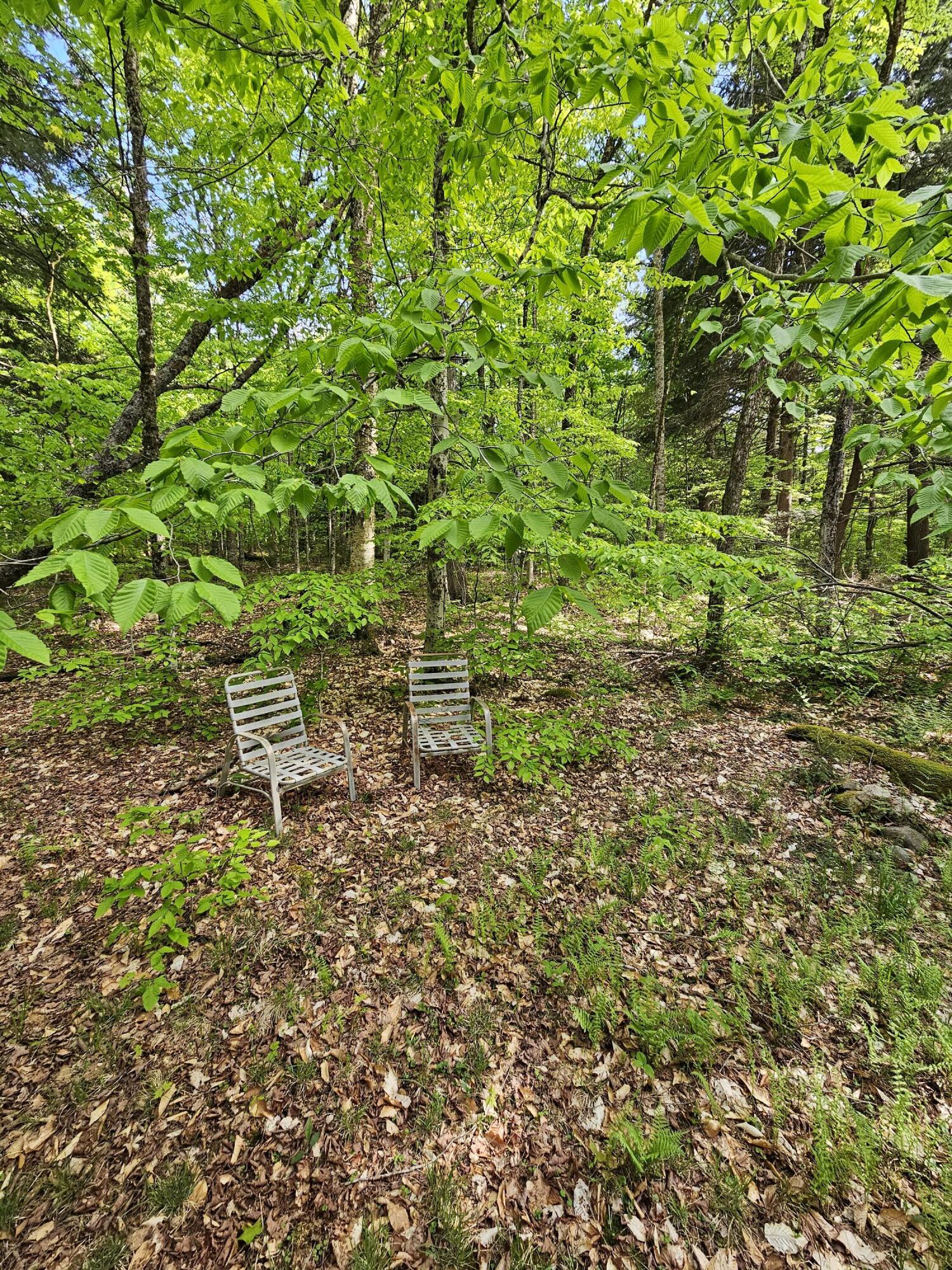 736 Bartlett Carry Road Tupper Lake, NY 12986 - Photo 9 of 17
