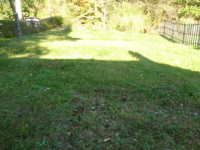 1887 Beulah Road Churchill, PA 15235 - Photo 4 of 11 BACK YARD.