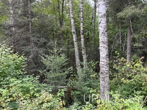 $26,000 | T-wi Loon Lake Road, Florence, WI 54121