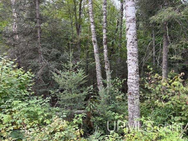 T-wi Loon Lake Road Florence, WI 54121 - Photo 1 of 27 Gallery Image 1