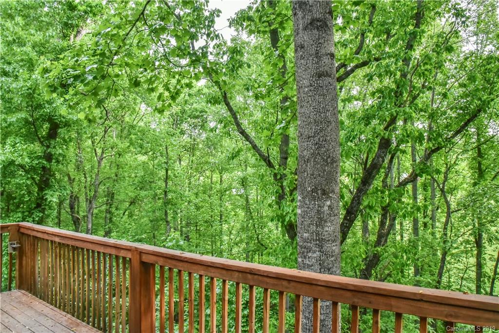 21 Sleepy Gap Road Arden, NC 28704 - Photo 29 of 31 Gallery Image 29
