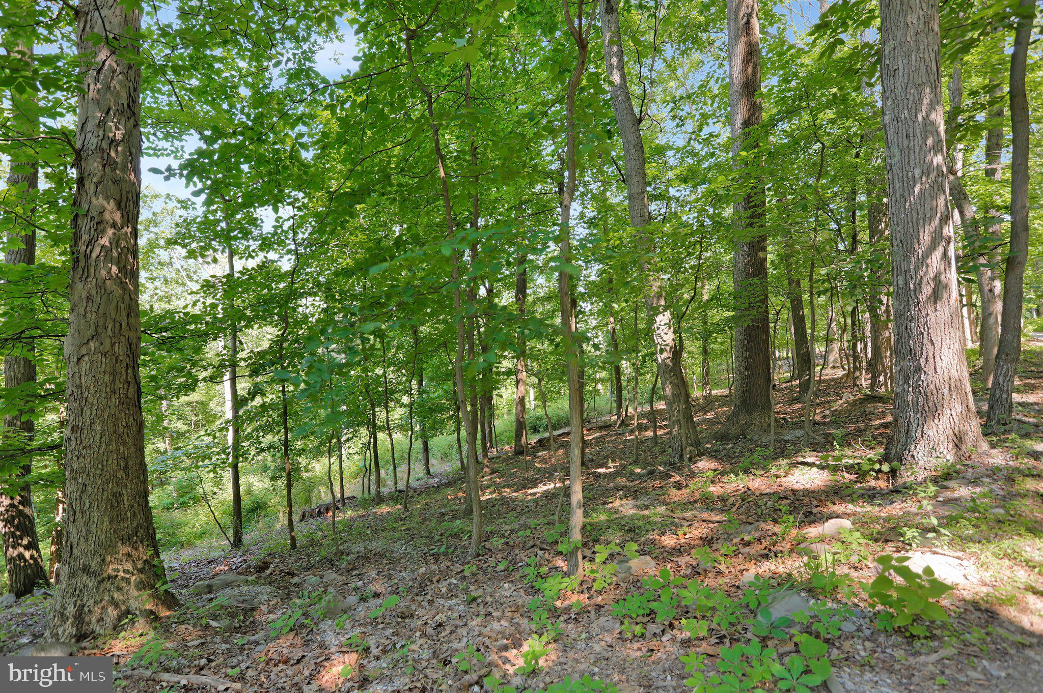 7060 Gilardi Road Boonsboro, MD 21713 - Photo 11 of 95