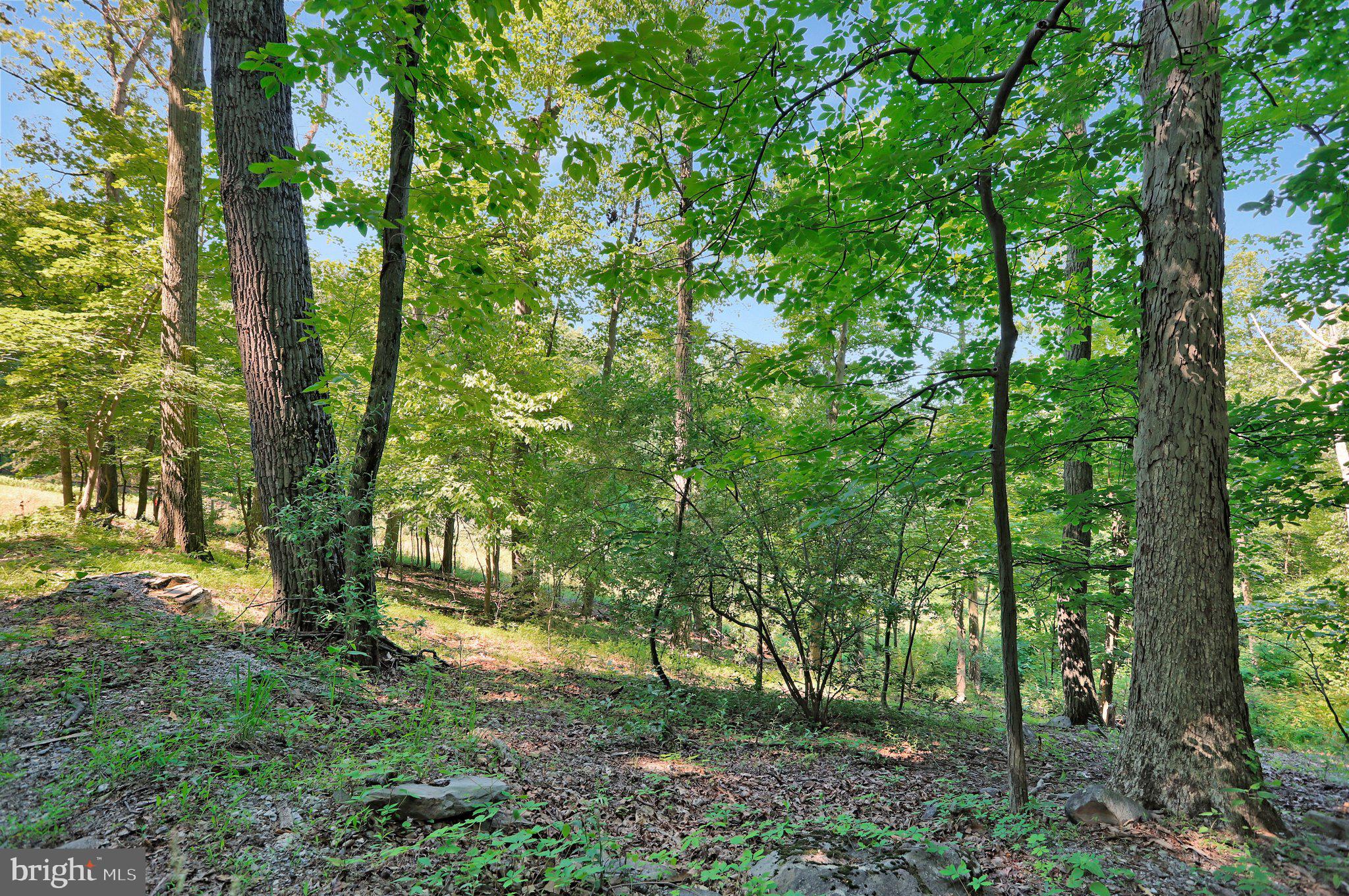 7060 Gilardi Road Boonsboro, MD 21713 - Photo 12 of 95