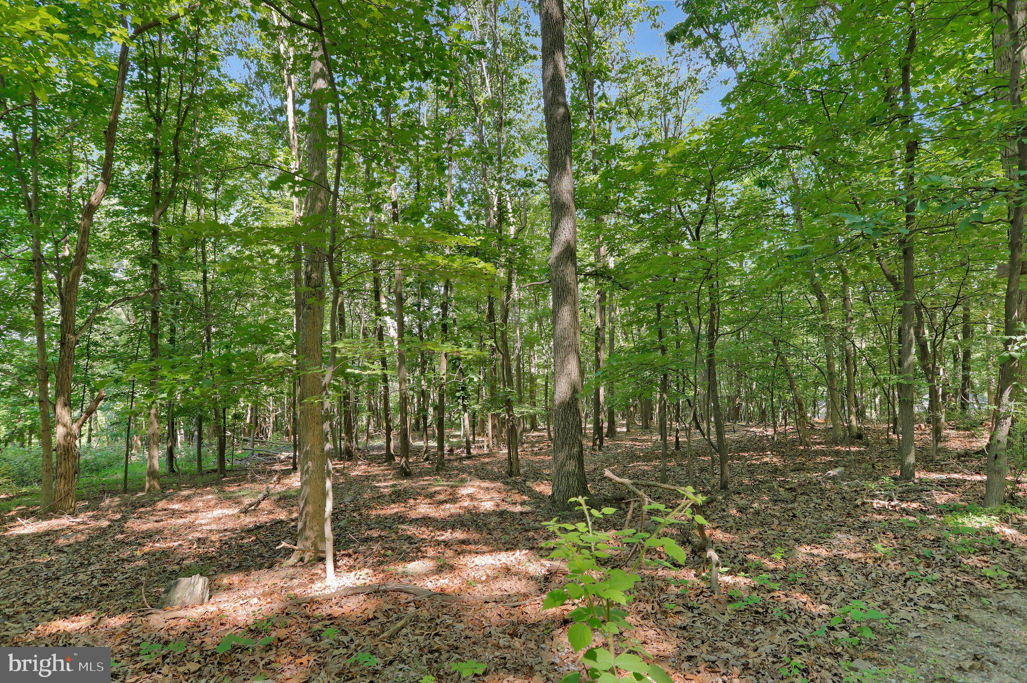 7060 Gilardi Road Boonsboro, MD 21713 - Photo 15 of 95