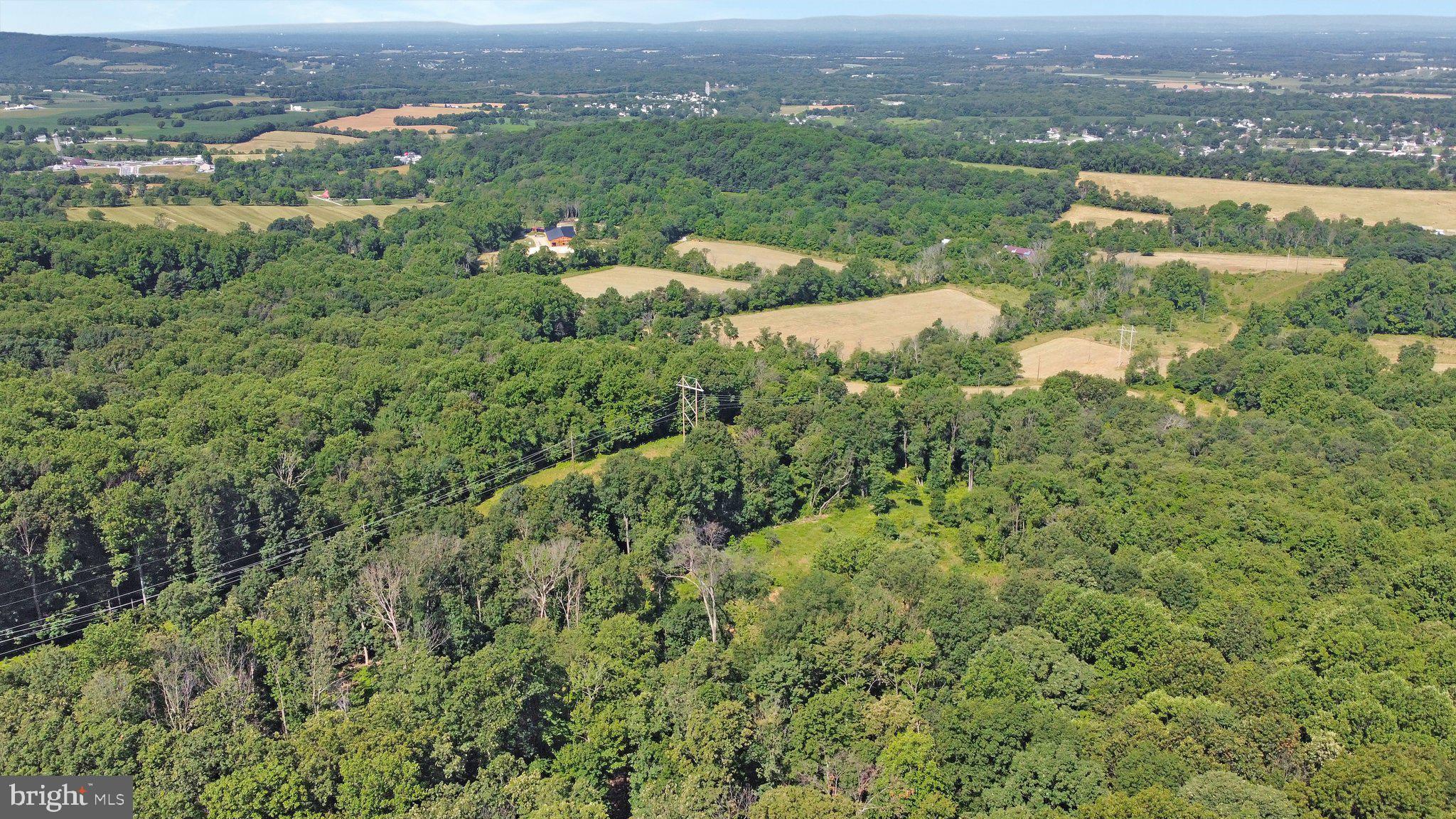 7060 Gilardi Road Boonsboro, MD 21713 - Photo 16 of 95