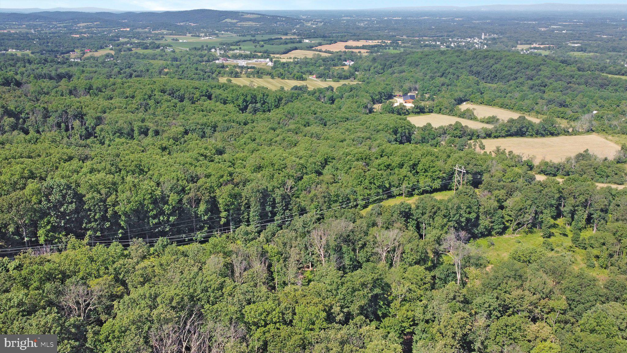 7060 Gilardi Road Boonsboro, MD 21713 - Photo 17 of 95
