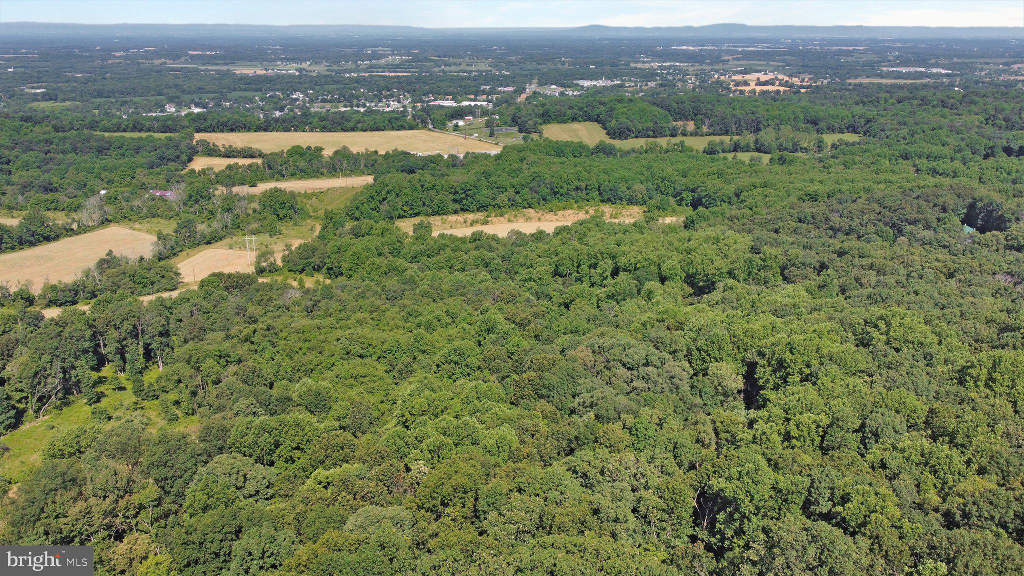 7060 Gilardi Road Boonsboro, MD 21713 - Photo 18 of 95