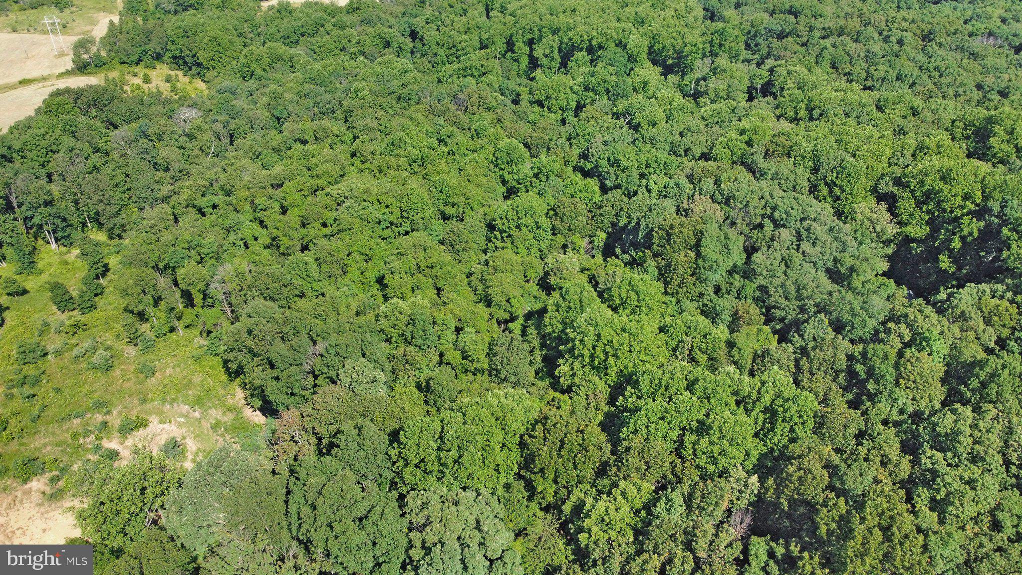 7060 Gilardi Road Boonsboro, MD 21713 - Photo 20 of 95