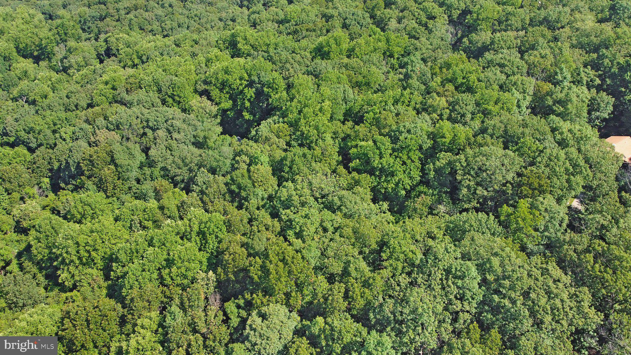 7060 Gilardi Road Boonsboro, MD 21713 - Photo 21 of 95
