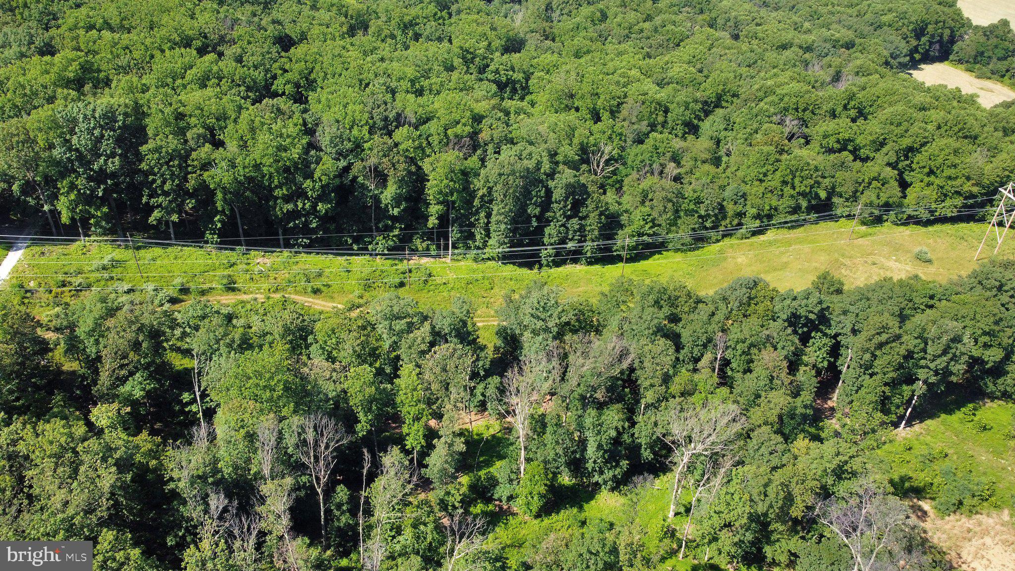 7060 Gilardi Road Boonsboro, MD 21713 - Photo 22 of 95