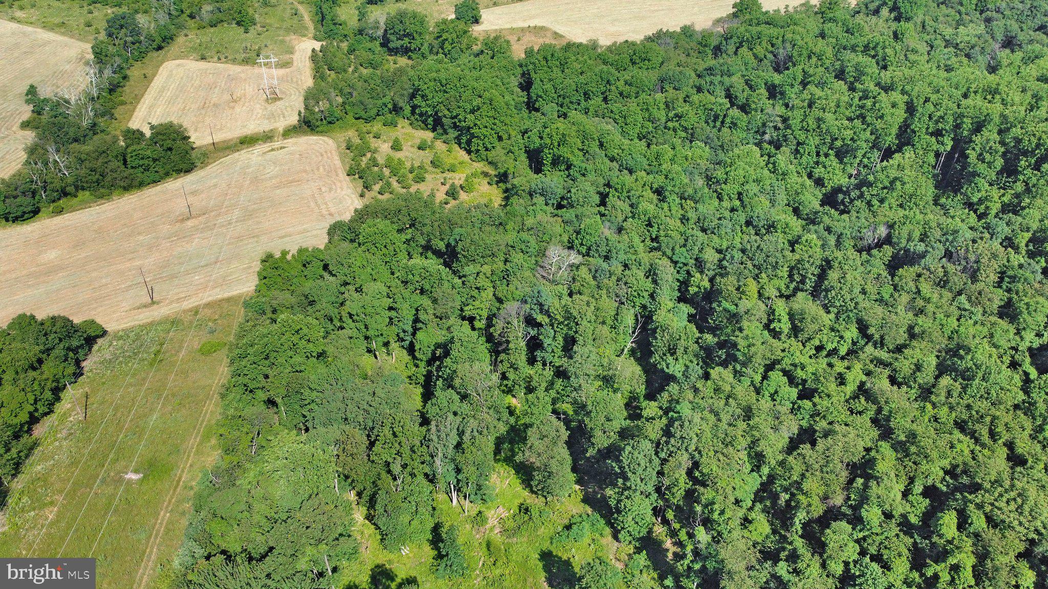 7060 Gilardi Road Boonsboro, MD 21713 - Photo 24 of 95