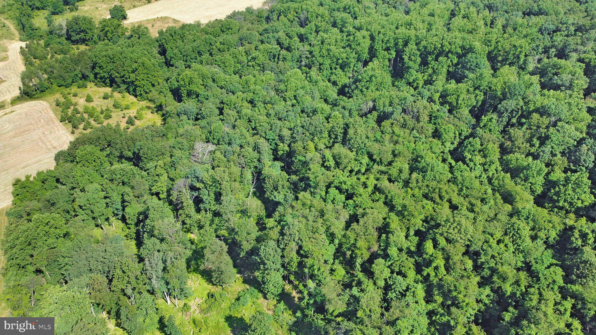 7060 Gilardi Road Boonsboro, MD 21713 - Photo 25 of 95
