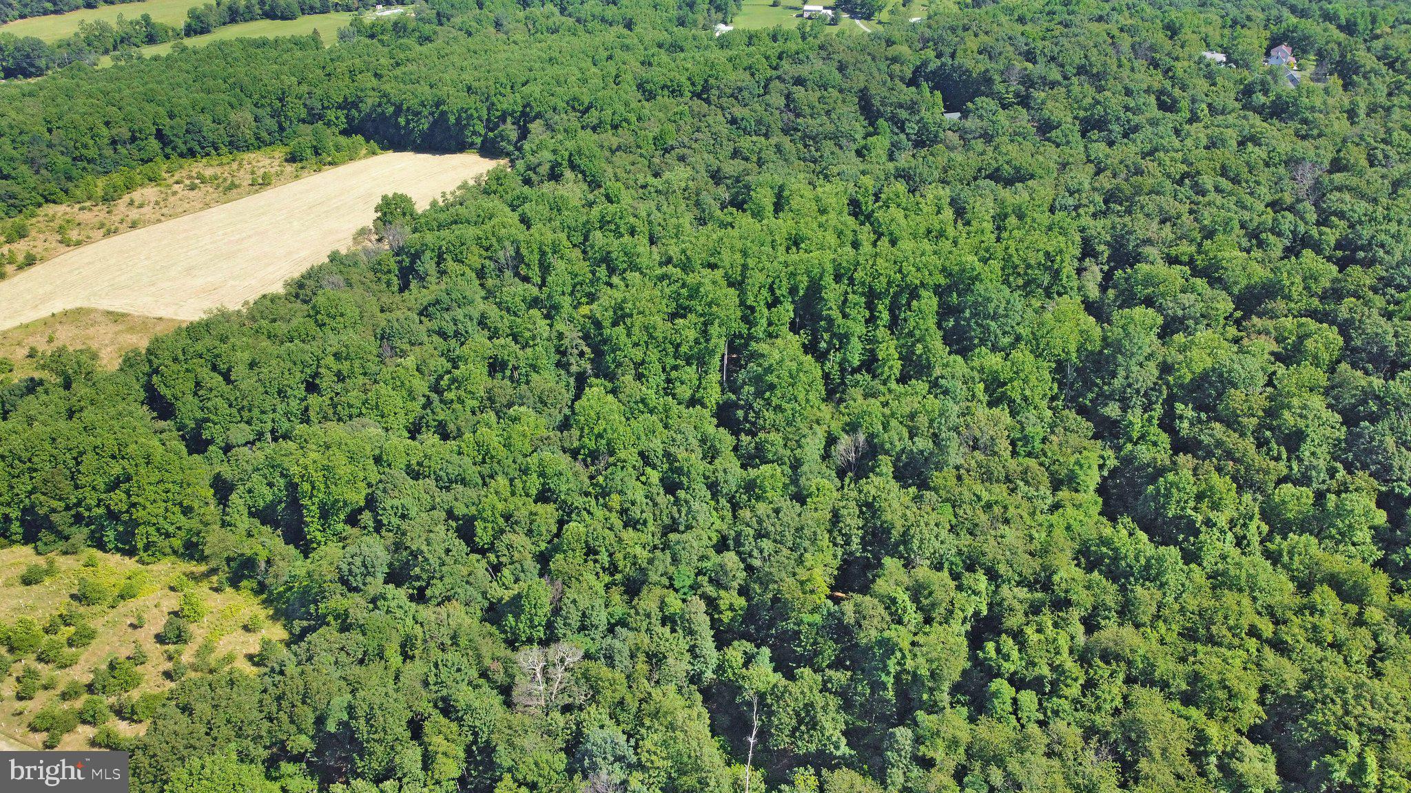 7060 Gilardi Road Boonsboro, MD 21713 - Photo 29 of 95